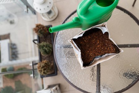 Photo for Top View of Seeding Pot with Grain and Watering Can on Balcony. High quality photo - Royalty Free Image