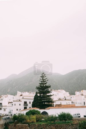 Téléchargez les photos : Un horizon brumeux d'un village espagnol avec un pin proéminent, dans le contexte doux d'une chaîne de montagnes. Photo de haute qualité - en image libre de droit
