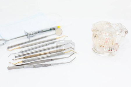 Téléchargez les photos : Concept d'examen dentaire. Porte-dents, outils de dentiste, brosse à dents et masque facial sur fond blanc, pose plate. Place pour le texte. - en image libre de droit