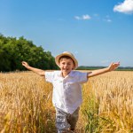 Little boy in a wheat field on a sunny day, arms wide open above the wheat field. Fresh air, concept of freedom, joy, childhood