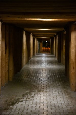 WIELICZKA, POLOGNE - 30 JUIN : Vue intérieure des mines royales de sel de Wieliczka et de bochnia texturées et plafond, faiblement éclairées par des lumières artificielles