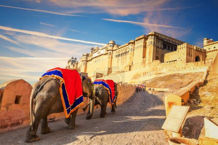 Indian elephant riders in Amber Fort, famous tourist attraction, Jaipur, India.