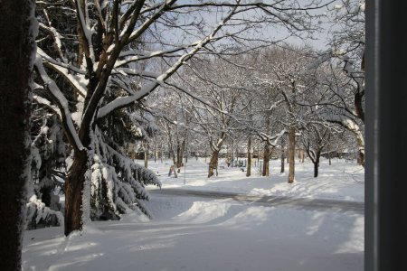 Foto de Winter snow landscape outside my window - Imagen libre de derechos