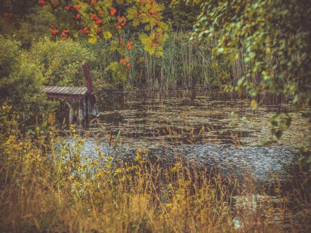 Foto de Árboles crece alrededor del lago. - Imagen libre de derechos