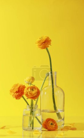 Téléchargez les photos : Yellow ranunculus flowers in glass bottles on yellow background. Creative, elegante floral concept. Minimalism aesthetic. Floral card layout or mockup - en image libre de droit