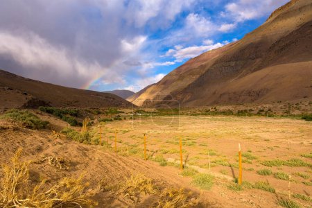 Téléchargez les photos : Farm in Quebrada Paredones in northern Chile. - en image libre de droit