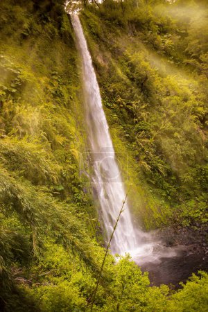 Téléchargez les photos : Cascade Salto El Leon, Pucon, Chili, Amérique du Sud - en image libre de droit