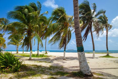 Photo for Main beach at San Andres Island, Colombia, South America - Royalty Free Image