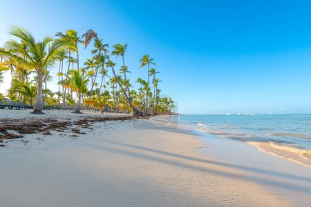 Foto de Bavaro Beach in Punta Cana at the Dominican Republic - Imagen libre de derechos