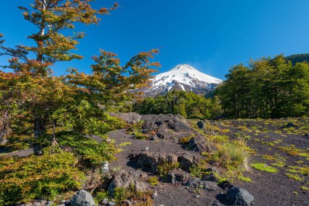 Photo for View of the summit of the villarrica volcano from the villarica national park in the araucania region of chile - Royalty Free Image