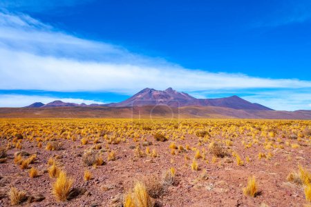 Cerro Miniques (colline des Miniques) dans l'Altiplano (haut plateau andin), réserve nationale de Los Flamencos, désert d'Atacama, région d'Antofagasta, Chili, Amérique du Sud
