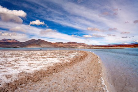 Tuyajto-Lagune und Salzsee im Altiplano (Hochebene der Anden) über 4000 Meter über dem Meeresspiegel mit Salzkruste am Ufer, Flamencos-Nationalreservat, Atacamawüste, Antofagasta-Region, Chile, Südamerika