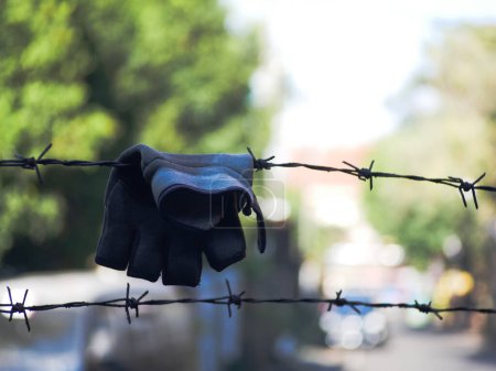 Photo for Used work gloves hung on barbed wire - Royalty Free Image