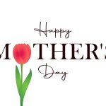 Mothers day typography with red tulip and butterfly vector illustration EPS10