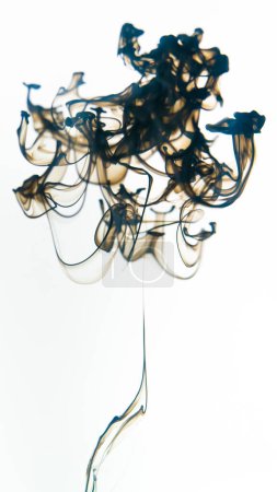 Black ink swirls forming delicate patterns as they diffuse elegantly through clear water, resembling an abstract ballet. Paint swirling in water.