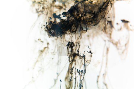 Schwarze Tuschewirbel bilden zarte Muster, die elegant durch klares Wasser diffundieren und einem abstrakten Ballett ähneln. Farbe wirbelt im Wasser.