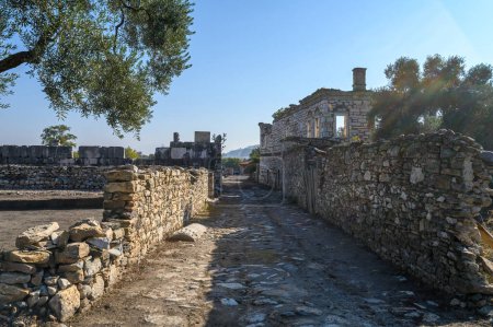 Photo for Stratonikeia Ancient City in Eskihisar, Mugla, Turkey. - Royalty Free Image