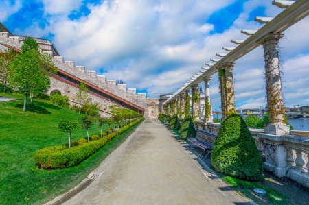 Téléchargez les photos : Château de Buda Palais Royal à Budapest, Hongrie - en image libre de droit