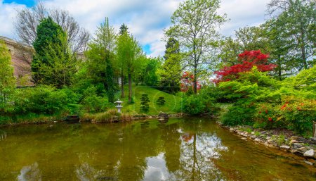 Photo for Beautiful trees and flowers in the Japanese garden in the Budapest Zoo in Hungary. Spring green landscape - Royalty Free Image