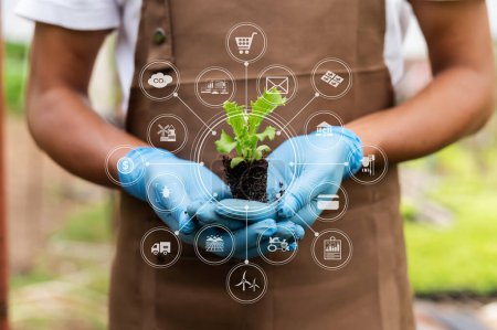 Téléchargez les photos : Femme mains jardinage laitue à la ferme avec processus de croissance et formule chimique sur fond vert. Avec icône VR - en image libre de droit
