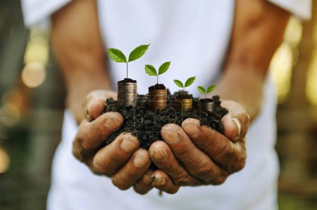 Foto de Hands holding putting coins into jug glass with plant growing on money. concept saving finance and accounting in sunlight - Imagen libre de derechos