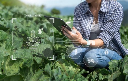 Téléchargez les photos : Smart farmer using application by smartphone concepts modern agricultural technology and visual icon.Smart farming - en image libre de droit