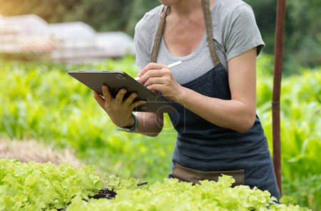 Téléchargez les photos : Farmer woman using digital tablet computer in field, technology application in agricultural growing activity - en image libre de droit