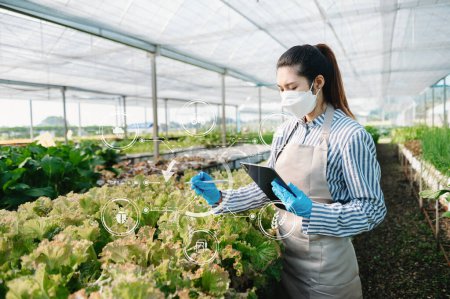 Téléchargez les photos : Woman gardening lettuce in farm  with growth process and chemical formula on green background. With visual icon - en image libre de droit