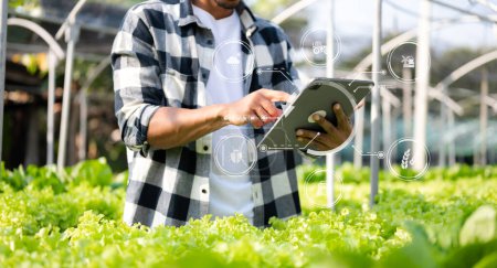 Téléchargez les photos : Man  gardening lettuce in farm  with growth process and chemical formula on green background. With visual icons - en image libre de droit