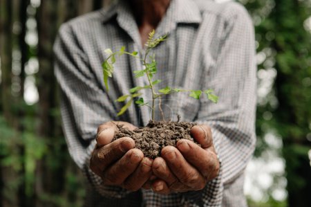 Téléchargez les photos : L'homme saisit la terre avec une plante Le concept d'agriculture et de croissance des entreprises. - en image libre de droit
