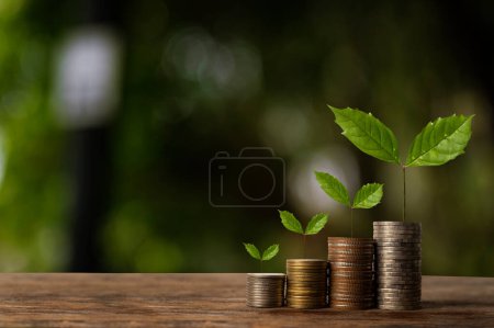 Foto de The seedlings are growing on the coins that are stacked together against of morning sunlight - Imagen libre de derechos