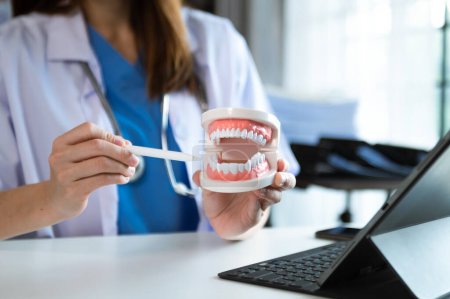 Konzentrierter Zahnarzt sitzt mit Kiefermusterzahnmodell und arbeitet mit Tablet und Laptop in Zahnarztpraxis