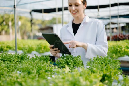 Researcher in white uniform are checking with ph strips in hydroponic farm and pH level scale graphic, science laboratory greenhouse concept.  Poster 646728498