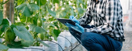 Foto de Agriculture technology farmer woman holding tablet or tablet technology to research about agriculture problems analysis data and visual icon.Smart farming - Imagen libre de derechos