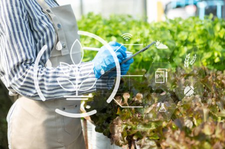 Téléchargez les photos : Femme jardinage laitue à la ferme avec processus de croissance et formule chimique sur fond vert. Avec icône VR - en image libre de droit