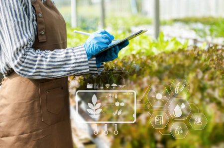Téléchargez les photos : Femme mains jardinage laitue à la ferme avec processus de croissance et formule chimique sur fond vert. Avec des icônes VR - en image libre de droit
