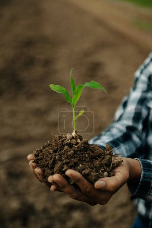 Téléchargez les photos : Vieil homme tenant des semis, pour les soins et les semences, nouveau concept de vie. - en image libre de droit