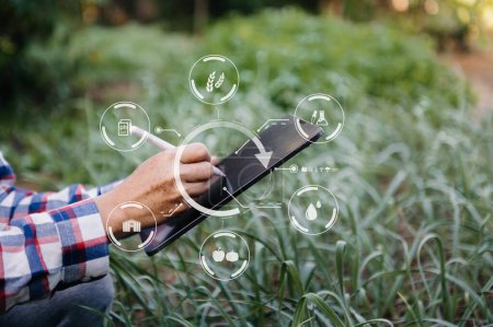 Téléchargez les photos : Laitue de jardinage femme à la ferme avec processus de croissance et tablette pc sur fond. - en image libre de droit