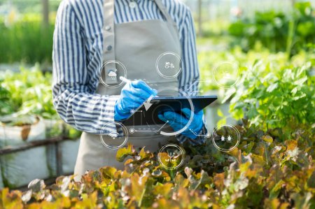 Téléchargez les photos : Laitue de jardinage femme à la ferme avec processus de croissance et formule chimique sur fond vert. - en image libre de droit