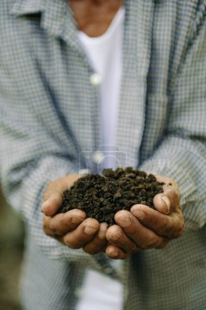Téléchargez les photos : Mains du jardinier tenant un sol pour planter l'arbre - en image libre de droit