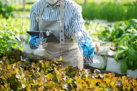 Téléchargez les photos : Femme mains jardinage laitue à la ferme avec processus de croissance et formule chimique sur fond vert. Avec icône VR - en image libre de droit