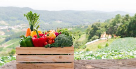 Foto de Caja de madera llena de verduras orgánicas frescas al aire libre - Imagen libre de derechos