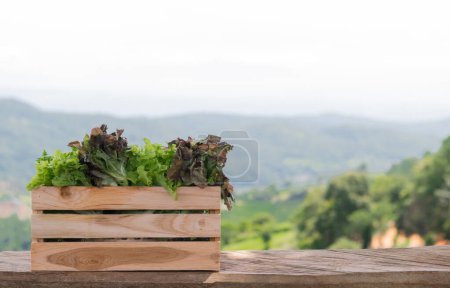Téléchargez les photos : Caisse en bois remplie de légumes bio frais de plein air - en image libre de droit