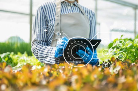 Photo for Woman hands gardening lettuce in farm  with growth process and chemical formula on green background. With VR icon - Royalty Free Image