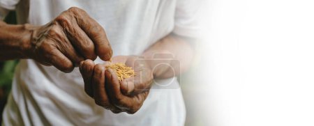 Photo for Close up of male hands holding on seeds - Royalty Free Image