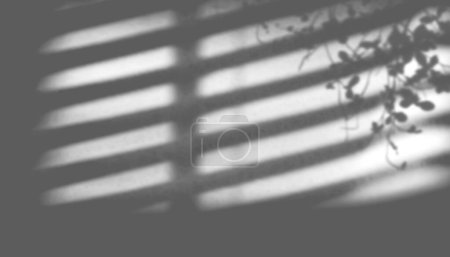 Photo for Abstract shadow of the window in morning light on white wall texture blur background - Royalty Free Image