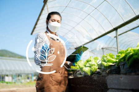 Smart farming technology icons over Asian young female farmer wearing face mask and gloves inspects plants and using digital tablet in greenhouse plantation. 