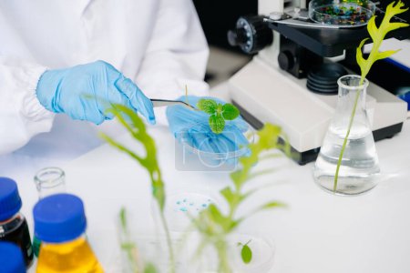 Foto de Biólogo experimentando con plantas que trabajan en laboratorio de bioquímica - Imagen libre de derechos