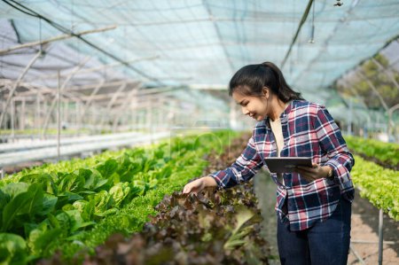  Mujer agricultora asiática está cuidando de verduras orgánicas con tableta pc. Jóvenes emprendedores con un interés en la agricultura. Construyendo una carrera agrícola en la granja