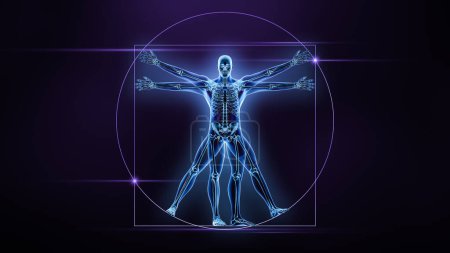 Vorder- oder Vorderansicht des menschlichen männlichen Körpers und der Knochen Röntgen 3D-Rendering-Illustration. Anatomie des Skelettsystems, Medizin, Wissenschaft, Biologie, Medizin, Osteologie, Konzepte der Biomechanik.
